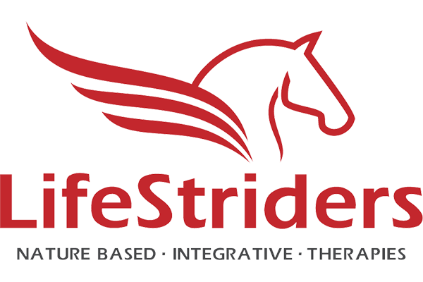LifeStriders Therapeutic Riding Center